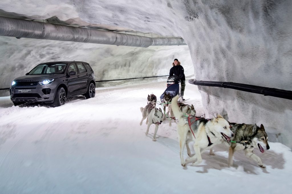 Dog power vs horsepower in the Discovery Sport snow tunnel challenge