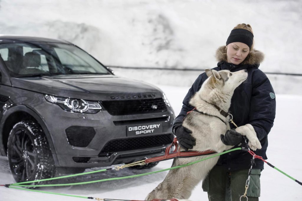 Laura Kääriäinen and one of her sled dogs