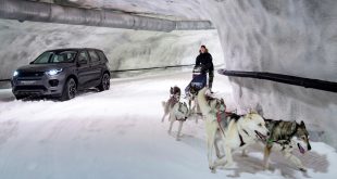 Dog power vs horsepower in the Discovery Sport snow tunnel challenge