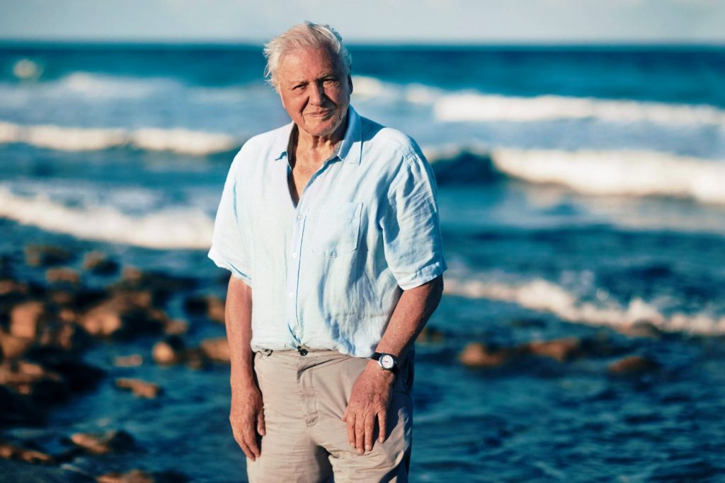Blue Planet 2 presenter Sir David Attenborough - BBC
