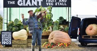 Vauxhall helps create giant fruit and veg stall